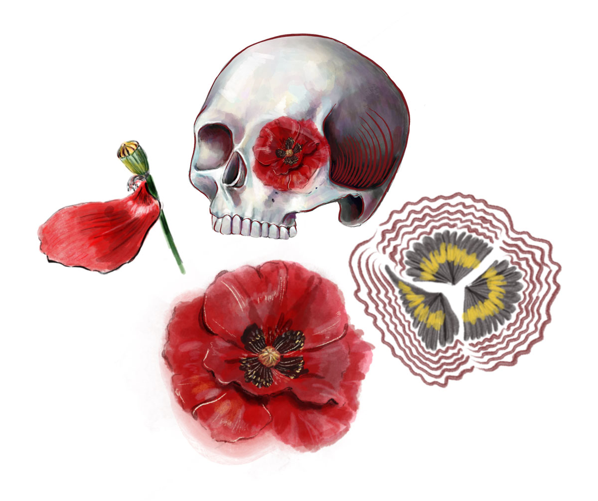 Illustration of a skull and poppies by Tiffany Lovage